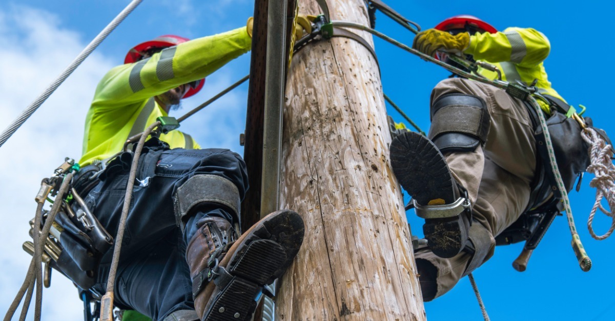 Two utility workers wearing high-visibility jackets, red hard hats, and safety harnesses while climbing a wooden power pole.