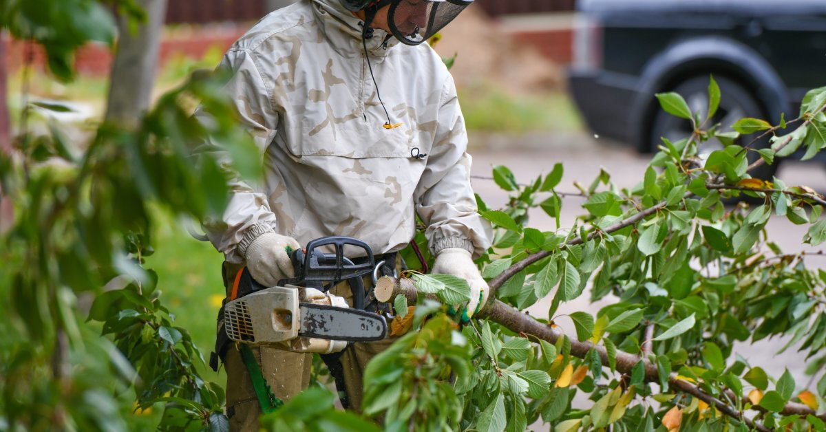 An arborist in a white helmet standing at ground level and uses a chainsaw to chop up several tree branches.