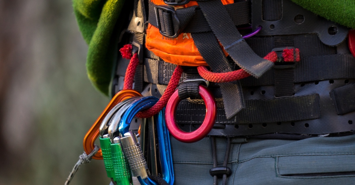 A close-up shot of a climber's harness, showing the buckles, various carabiners, and attached ropes.