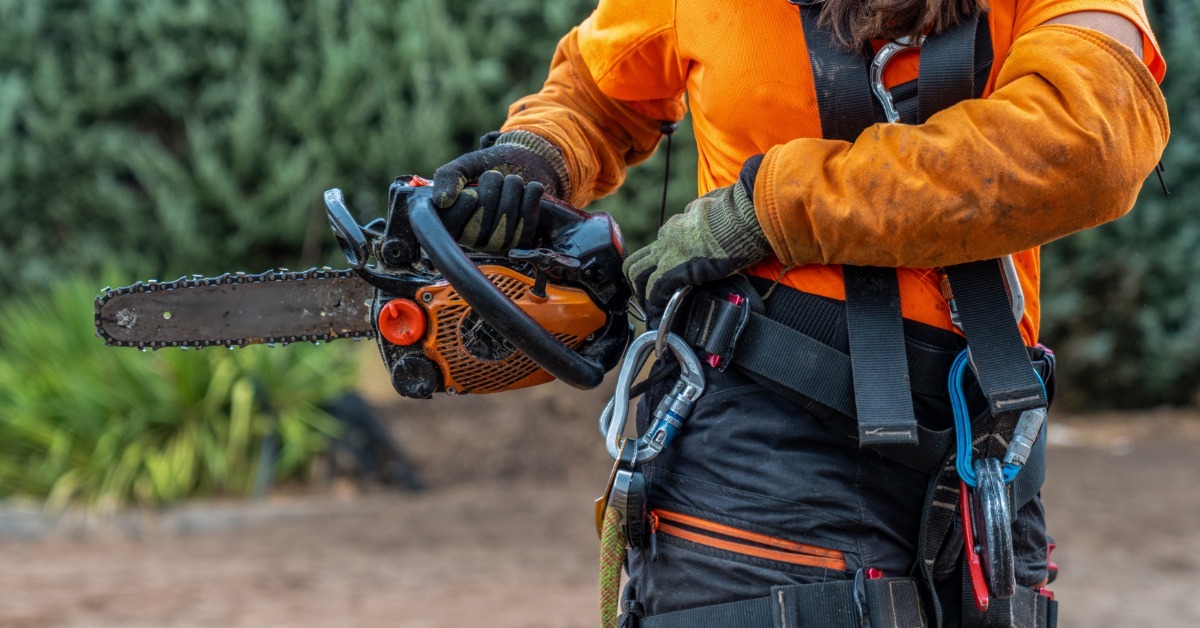 A close-up of an arborist in a long sleeve orange shirt holds a chainsaw and wears a safety rigging harness.