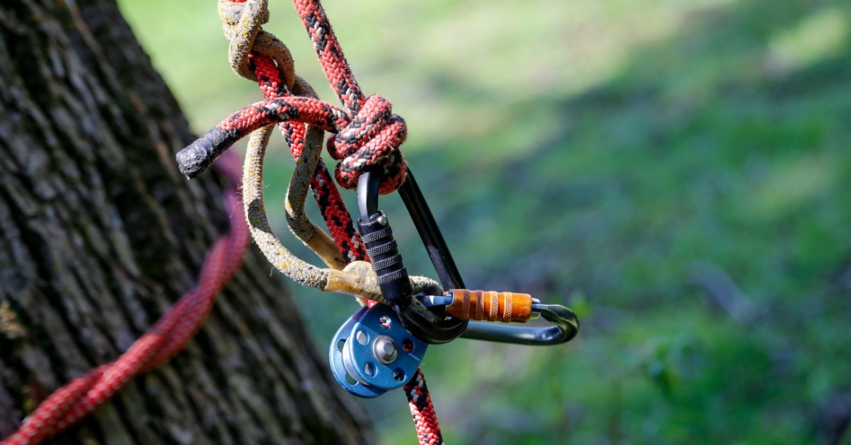 A close-up of a red rope connected to carabiners and a pulley. Part of the rope is wrapped around a tree.